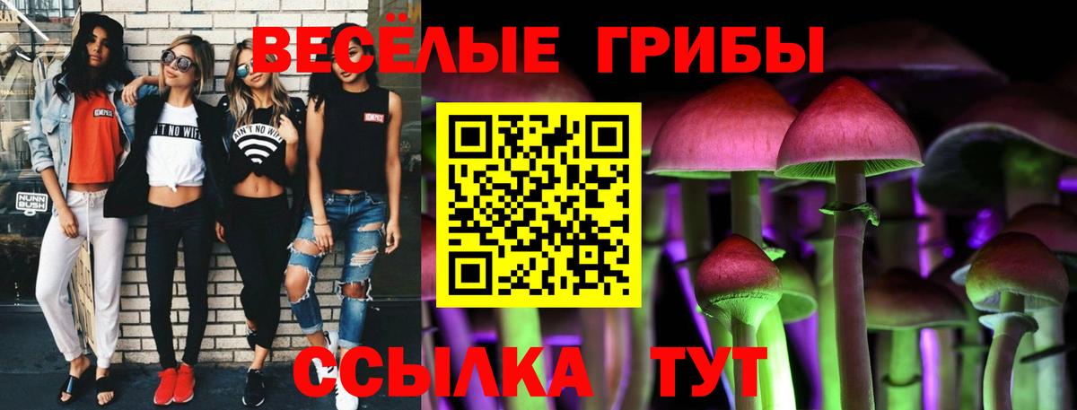 Галлюциногенные грибы GOLDEN TEACHER  Вход с VPN  Галлюциногенные грибы GOLDEN TEACHER  Сосновый Бор 